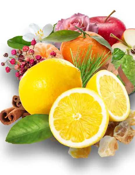 Lemon Shine Clean Fragrance - Clean Fragrances